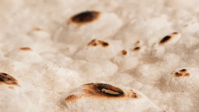 Close detail of thin flatbread with toasted brown spots