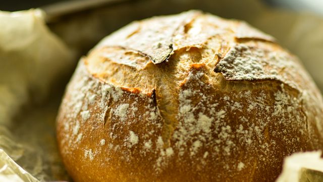 A freshly baked crusty round loaf of artisan bread dusted with flour.