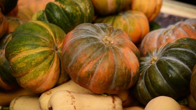 A variety of ribbed green, orange, and butternut squashes piled together.